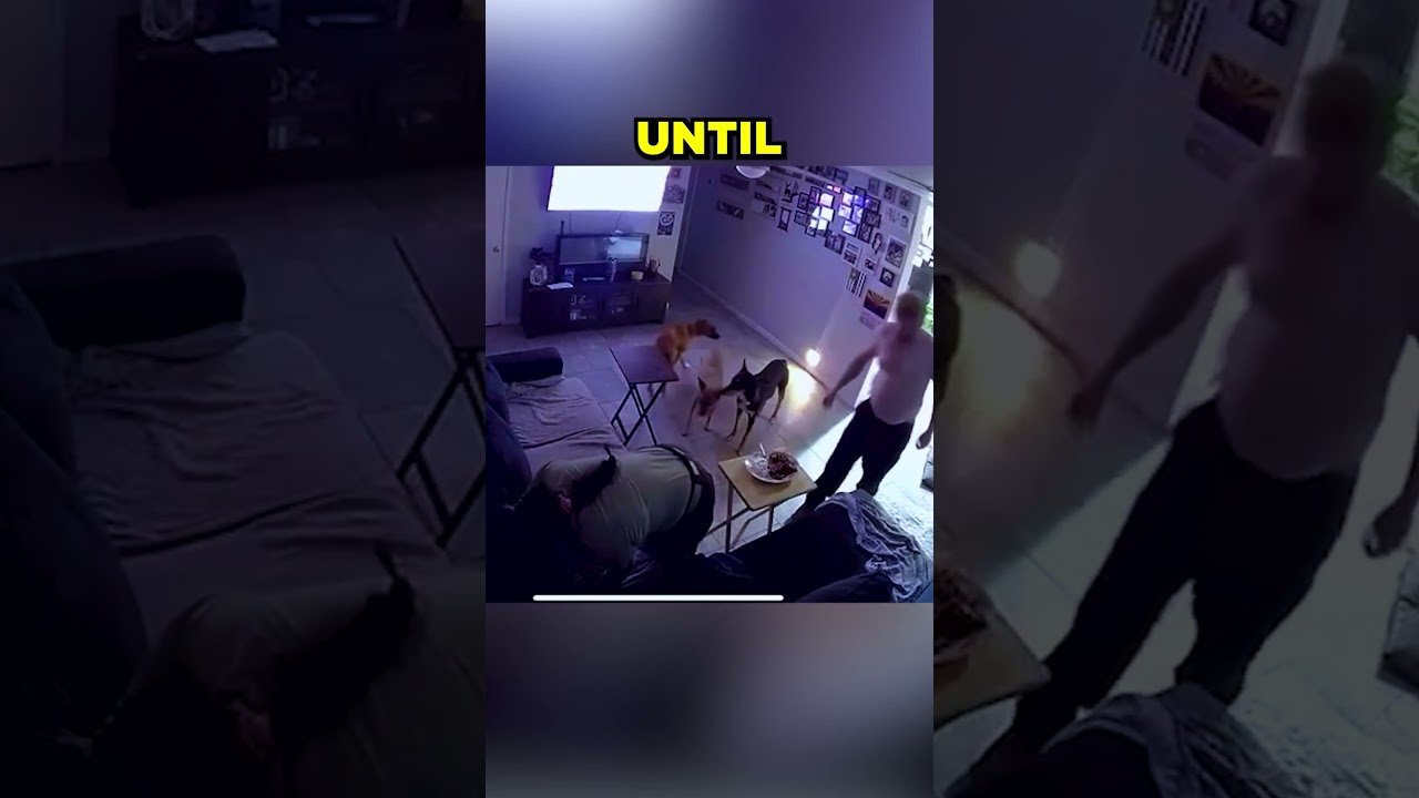 This family's miracle saved my day😱❤️