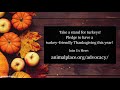 Will you take a stand for turkeys this Thanksgiving?