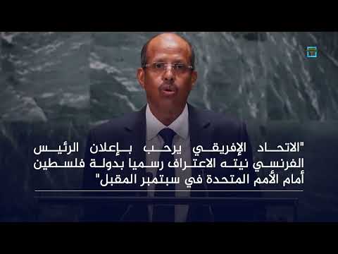 ترحيب يمني وإفريقي بإعلان فرنسا الاعتراف بدولة فلسطين