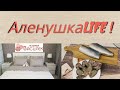 VLOG: Готовлю МУРМАНСКОЕ САЛО/Любимый ВАСИЛЕК радует/Новости от Дэна