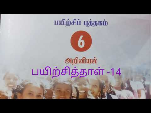 அரசு பயிற்சிப்புத்தகம்- 6- அறிவியல்- பயிற்சித்தாள்- 14...