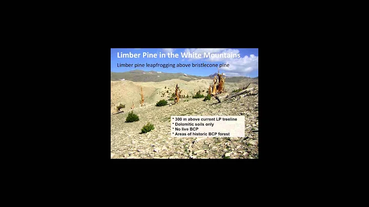 Field Season Chronicles: Climate Relevant Observat...