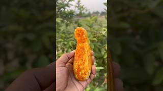 Spicy Cucumber 🥒🤤 #shorts #viral #cooking #spicy