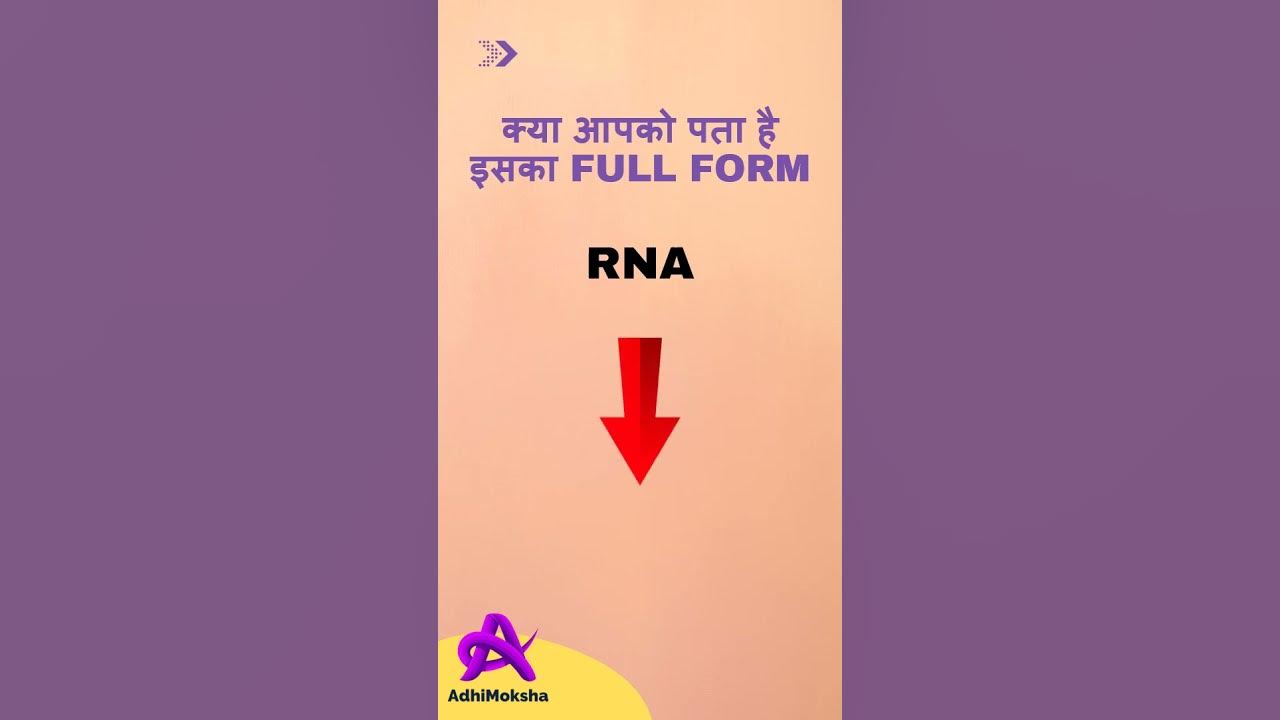 what-is-the-full-form-of-rna-rna-ka-full-form-kya-hai-youtube