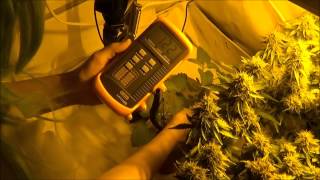 Have you ever wondered how you could measure light levels in your cannabis grow space? Well there