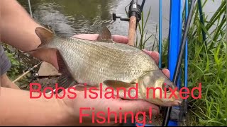Bobs Island mixed fishing! #fishingvideo #outdoors #dayout