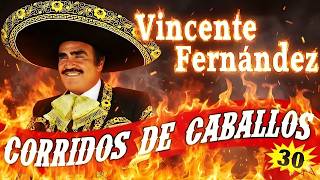💥 VICENTE FERNÁNDEZ - Corridos De Caballos Mix 🔥 30 Éxitos Rancheros