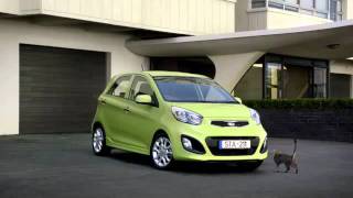 KIA advert - with cat and dog
