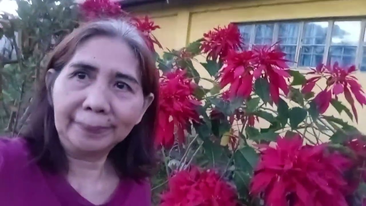 @ bahay na puno ng ibat ibang halaman..