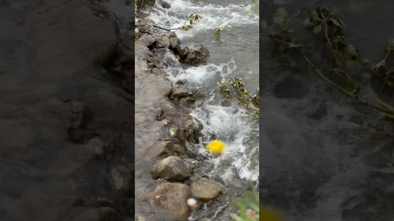The river&rsquo;s magic is truly enchanting✨🌼 #riversounds #relaxing #shorts #naturevibes #naturesbeauty