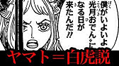 ワンピース 考察 最新話1004話考察 謎のシルエットの正体は日和か それともトキ様か まさかのアイツか ワンピースネタバレ Youtube