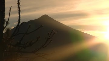 “FOOLS VACATION” Ft. Mati Lasgoity & Zeno Lehmann