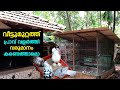 വീട്ടുമുറ്റത്ത് പ്രാവ് വളർത്തിയാൽ വരുമാനം കിട്ടുമോ ? Pigeon farm in courtyard Pravu Valarthal Kerala