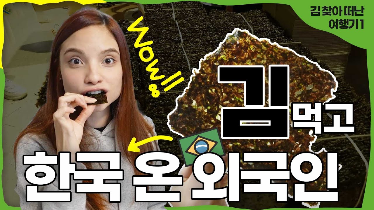 김 찾아 떠난 여행기 1부ㅣ김은 어떻게 생산될까?