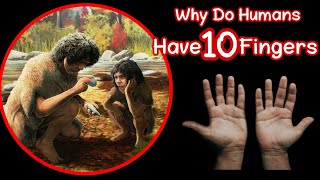 Celebrity Why Do Humans Have 10 Fingers? Could We Evolve to Have More? Profile
