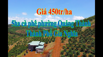 Cần Bán 5ha Cà Phê Giá Rẻ Đất Thuộc Thành Phố Gia Nghĩa - Hồng Hưng Đăk Nông