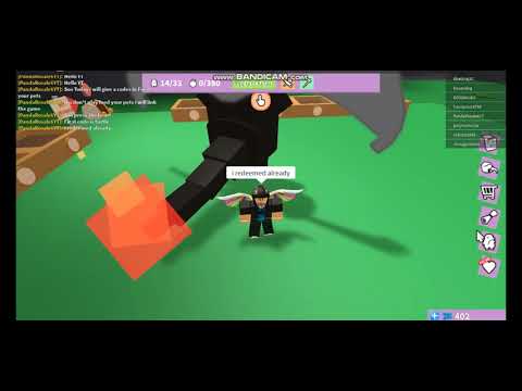 All Codes In Feed Your Pets Working Roblox Youtube - roblox feed your pets code wiki