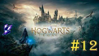 Hogwarts Legacy. 12 серия. Дольше чем 11 серия