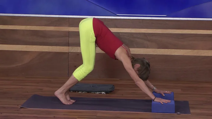 Beginning Yoga 09 "Yoga Flow"