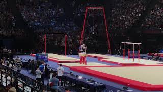 Artem DOLGOPYAT (ISR) - Pommel Horse final - Internationaux de France