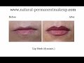 Natural Permanent Makeup - Before and After Slideshow.