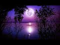 Sleep Music 24/7, Calming Music, Relaxing Music, Sleep Meditation, Insomnia, Study Music, Zen, Sleep