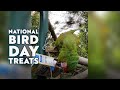 National Bird Day Treats!