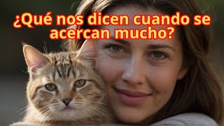 DESCIFRANDO EL ENIGMA FELINO: ¿POR QUÉ LOS GATOS SE ACERCAN A TI?