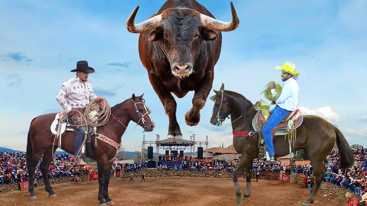 TABARIN HERNANDEZ -HILARIO CABEZAS TOROS BRAVOS BUSCA CABALLOS!! JARIPEO EL 4 FEST 13 DE ENERO 2026