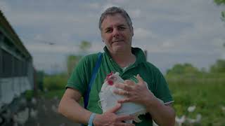 Anche le galline scelgono ioniflex®