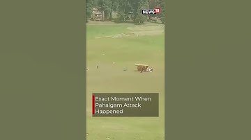 Exclusieve beelden van het exacte moment waarop de Pahalgam-terreuraanslag plaatsvond in Jammu en...
