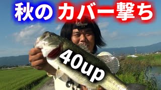 バス釣り　カバーにラバージグ撃って40up！！