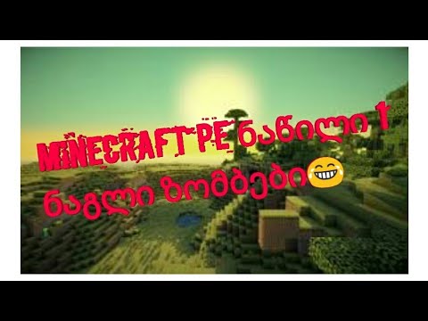 Minecraft PE:ნაწილი 1