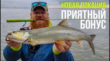 Китайский ОКУНЬ на ДЖИГ. Стеклянный спиннинг Shimotsuke Turing Monkey sp40.