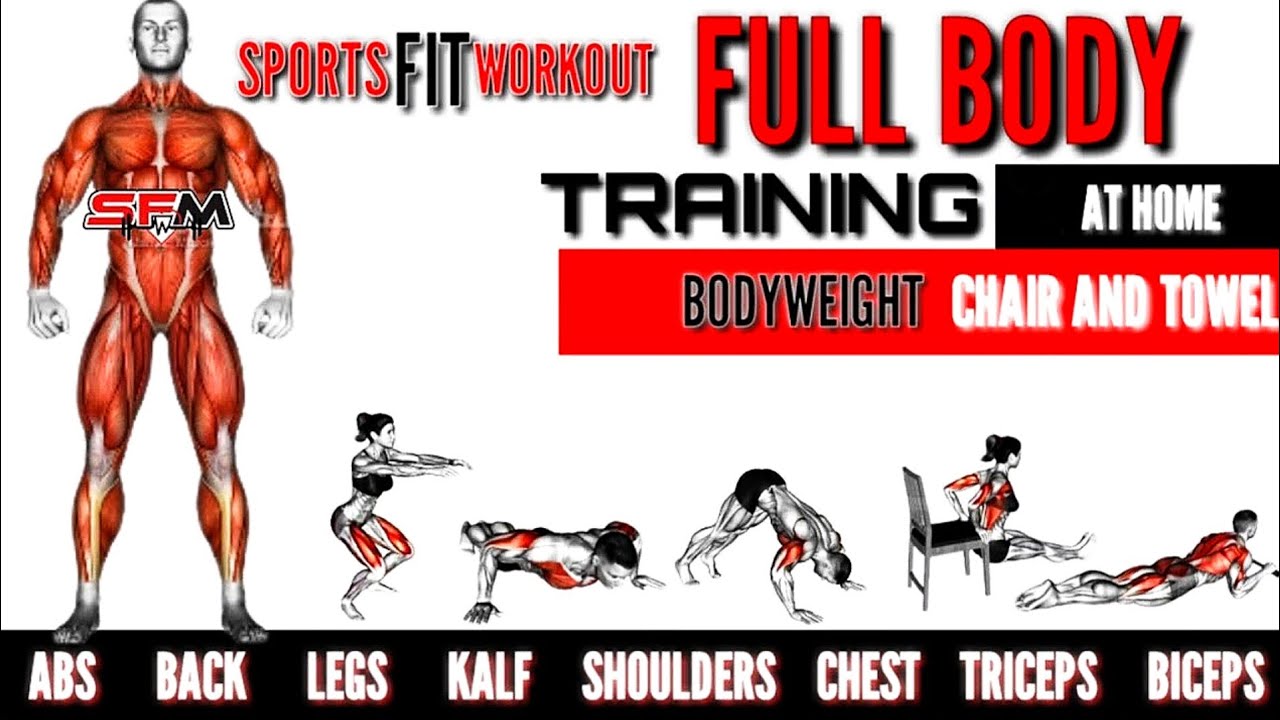 Full Body Workout at Home Bodyweight Exercises #homeworkout #fitneess # ...