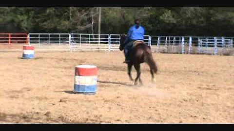 Sam Cardinale 12-10-10.wmv