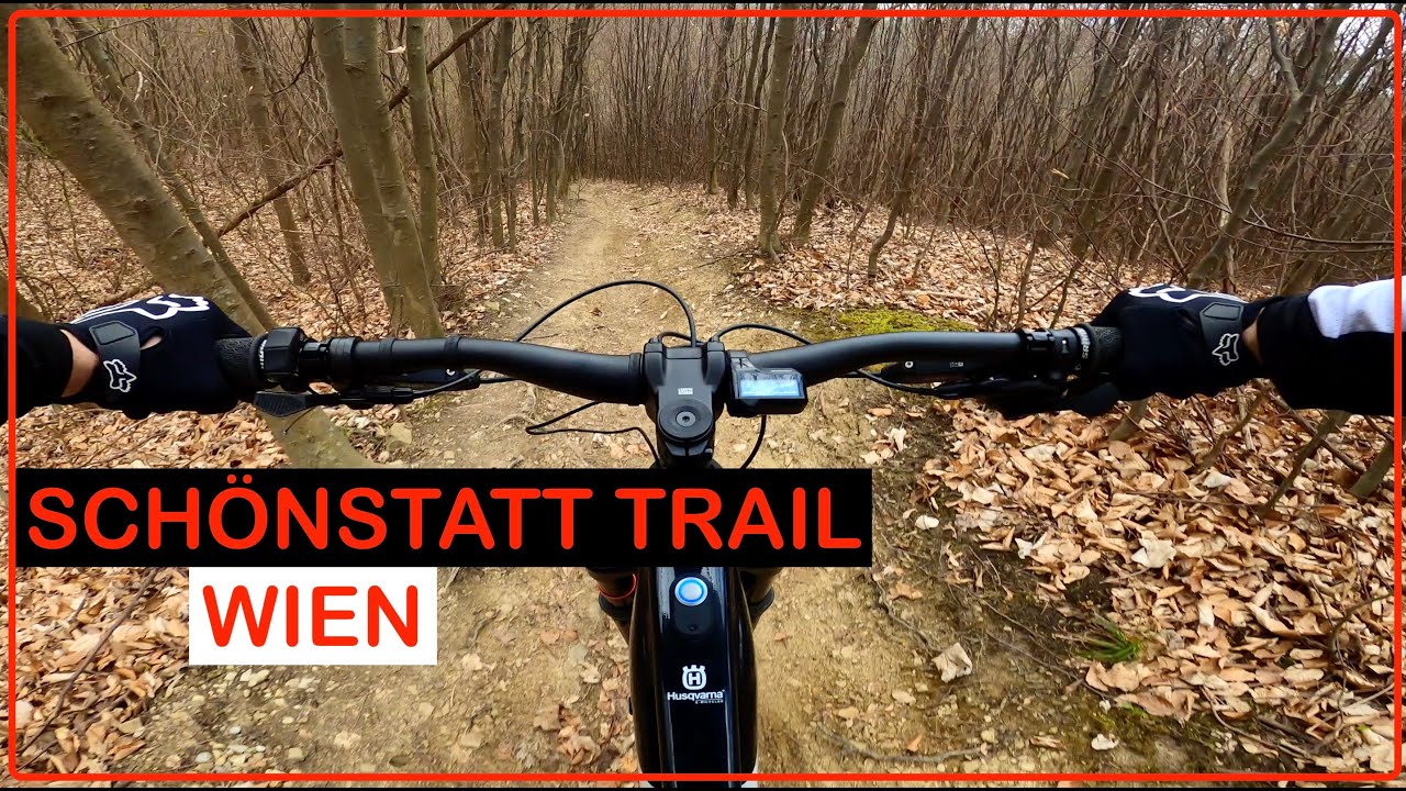 MTB Wien – Schönstatt Trail vom Kahlenbergerdorf bis Wiedling 🚵‍♂️🌲| Alexander Schuster