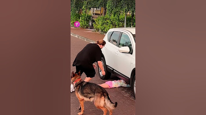 Heroic Dog Saves Little Girl Under Car #shorts