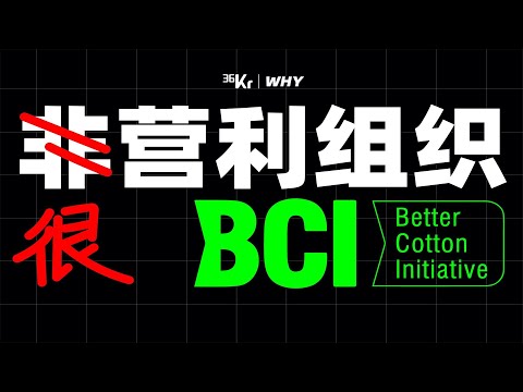 【36氪】从BCI，我们揭开了“非营利NPO组织”的生意经