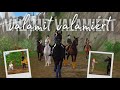 Valamit valamiért || teljes kisfilm