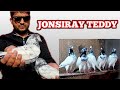 Jonsiray teddy kabootar  ch sakhi muhammad bhatti pigeons