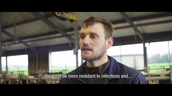 Making dairy farming more sustainable according to farmer Mathijs Meijer