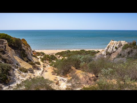 Playas de Mazagón: Un Paraíso en la Costa de Huelva