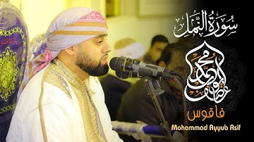 من اجمل ما قرا من سوره النمل القارئ البريطاني محمد ايوب عاصف تلاوه تفوق الجمال  ابداع لا يفوتك 💞::