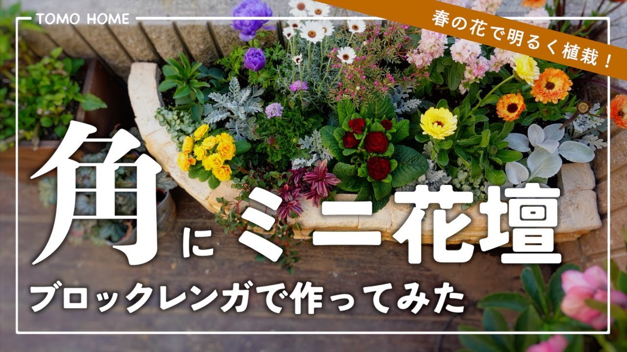【超簡単！】春の花も紹介・置くだけでできる花壇を作ってみた【レンガブロック】