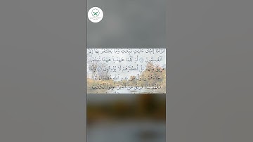 سورة البقرة  الشيخ محمد الفقيه  #اكسبلور #forupage #تيك_توك #quran #دويتو #quotes #peace