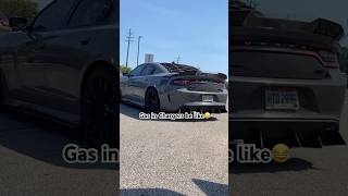 Charger Daytona #cars #automobile #charger #carshow #fast #trending #srt #hellcat #srtaddicts