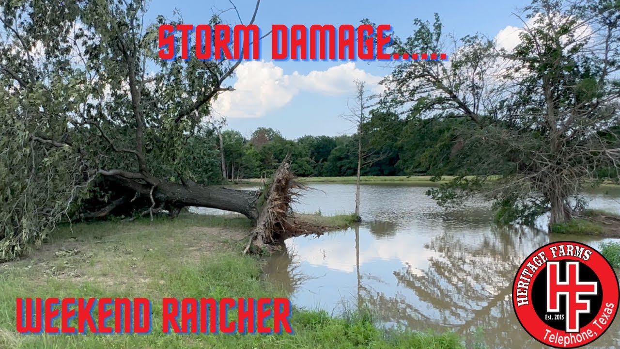 Storm Damage - Straight Line Winds....Ruined my fishing spot. - YouTube