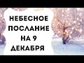 Небесное послание на 9 декабря. Ваша целеустремлённость.