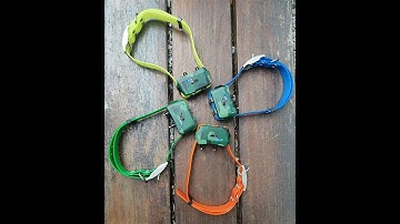 4G IK122T Hound GPS Training Collar Without Distance Limit